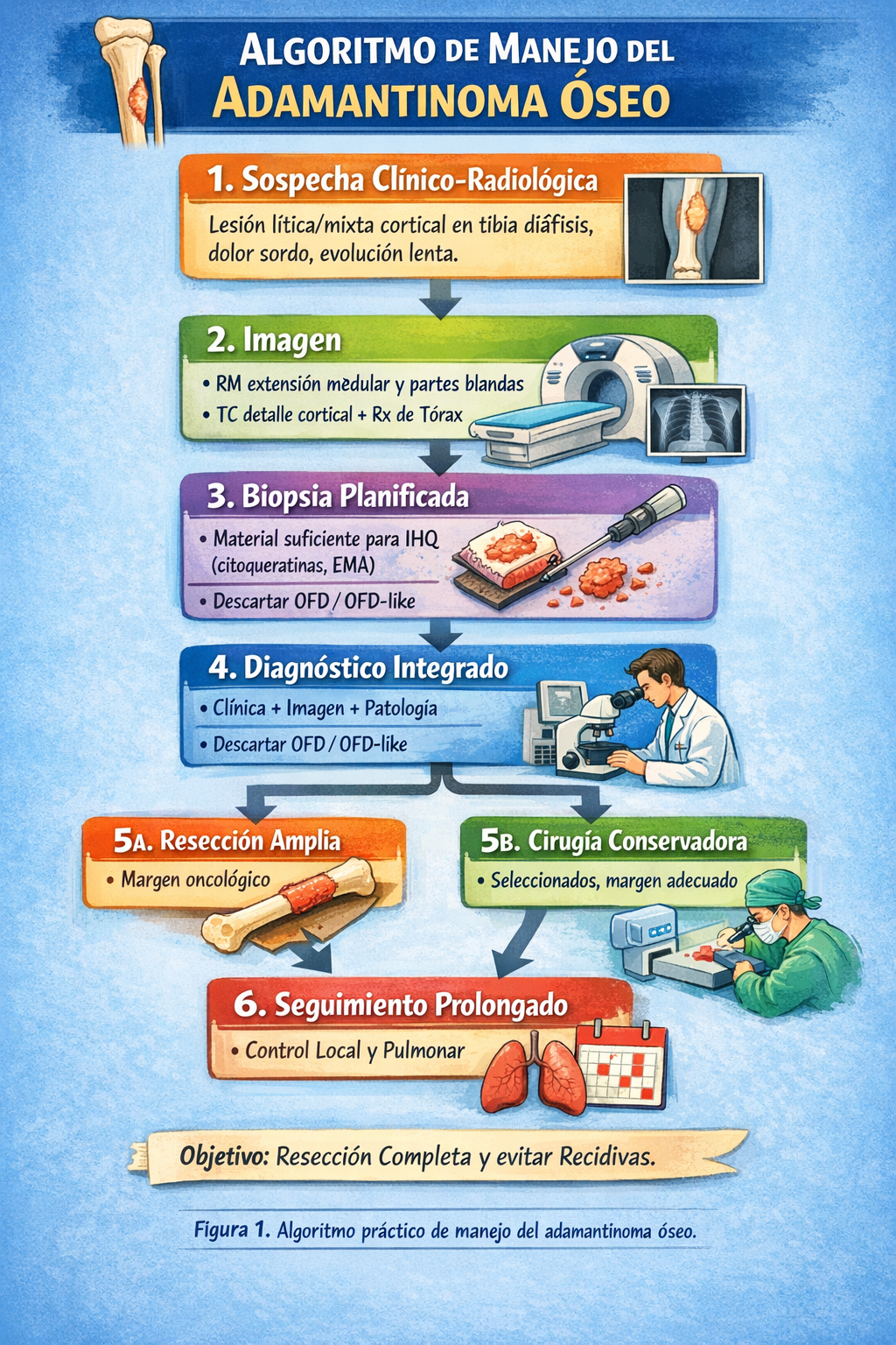 Algoritmo de manejo del adamantinoma óseo