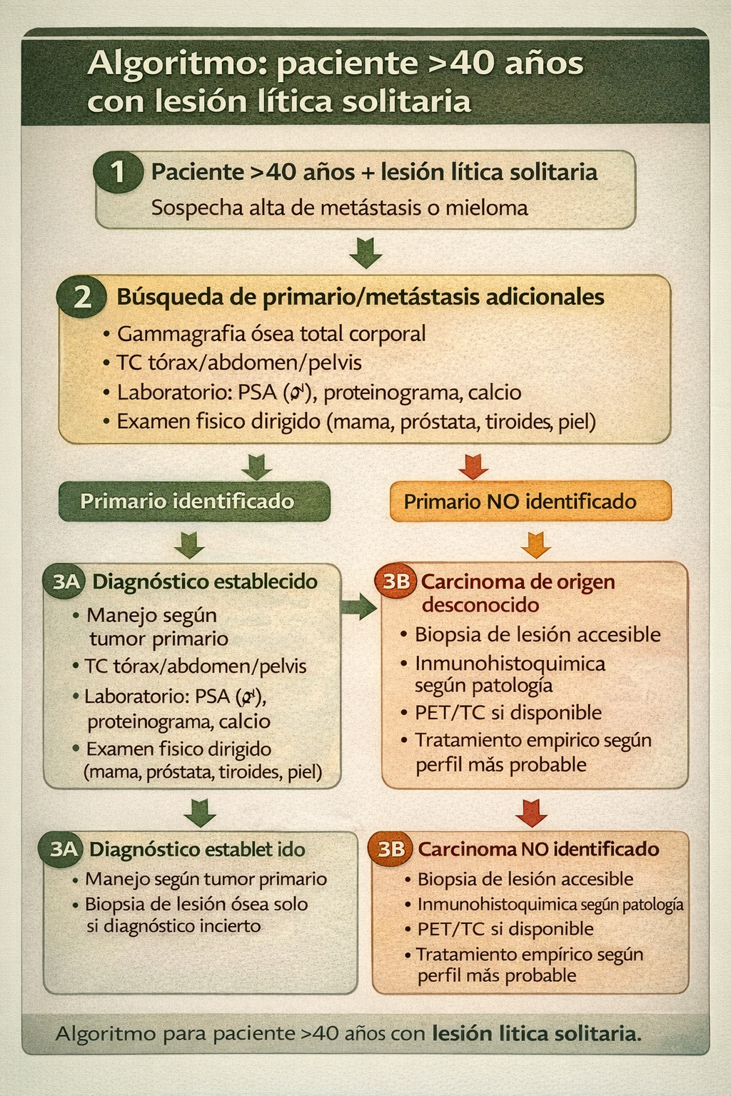 Algoritmo diagnóstico en paciente mayor de 40 años con lesión lítica solitaria