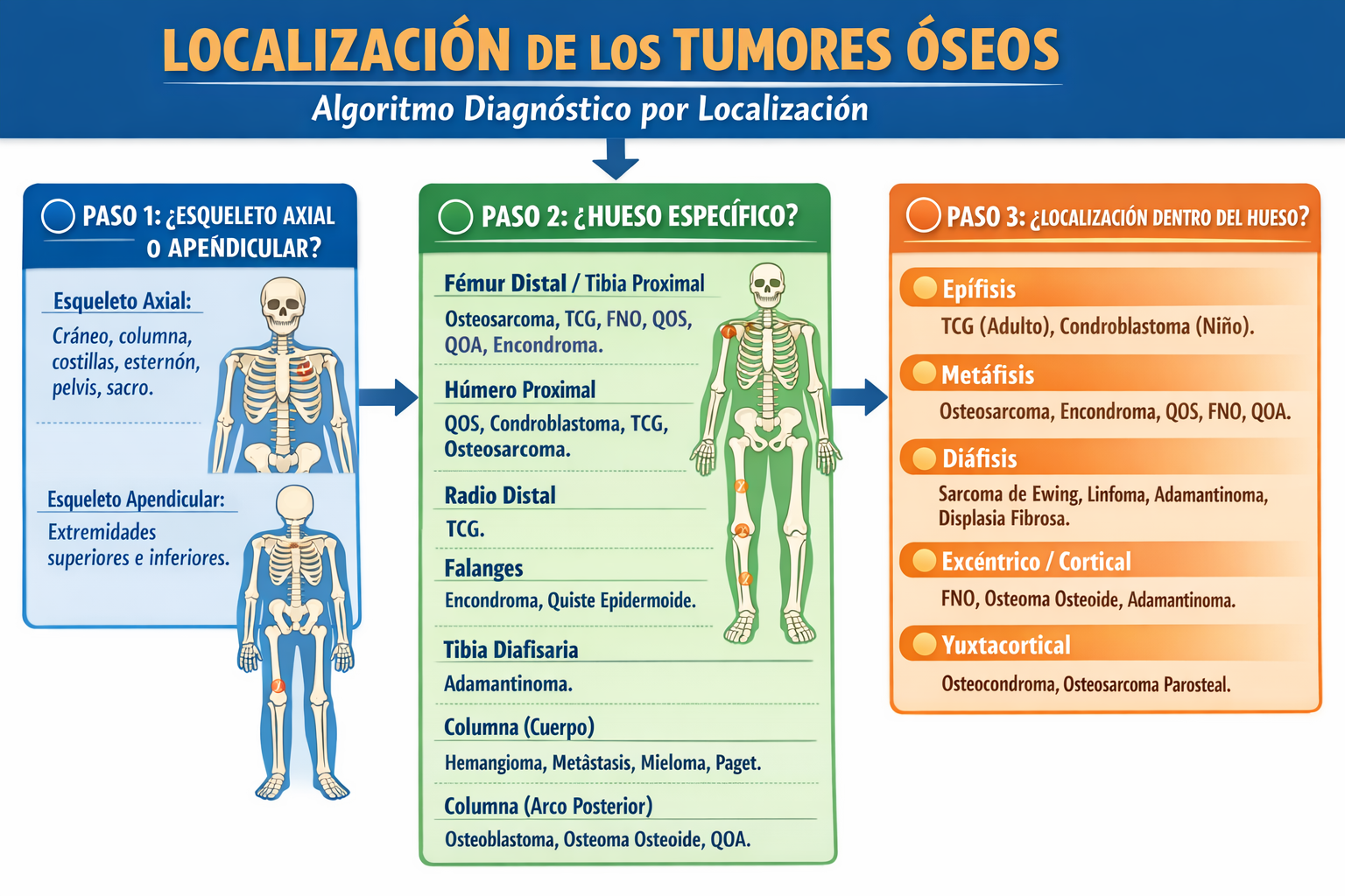 Algoritmo diagnóstico general por localización