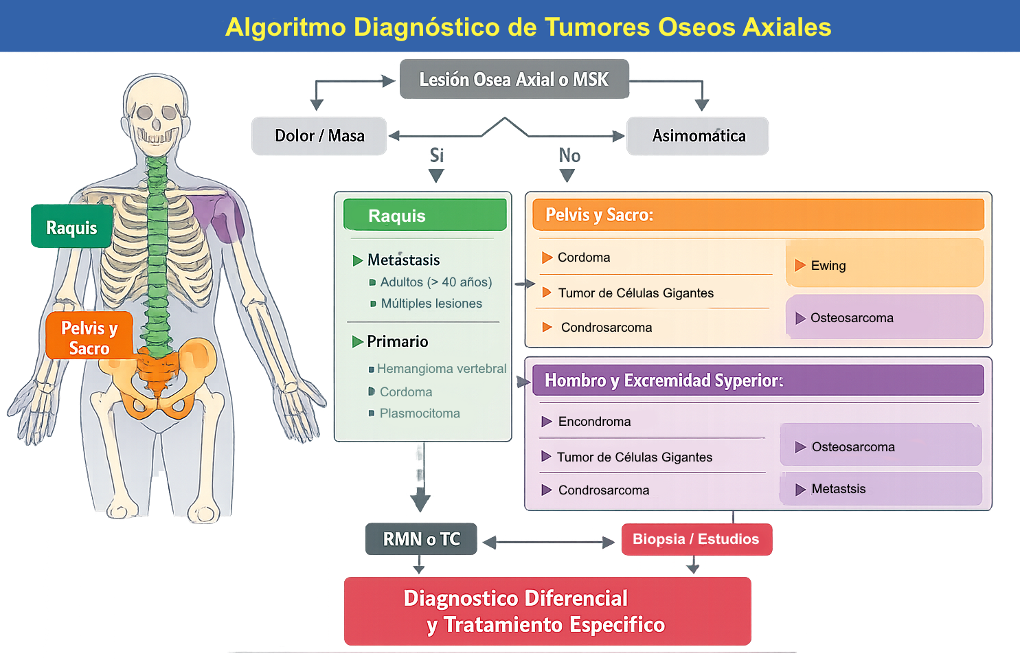 Algoritmo diagnóstico por localización anatómica (II)