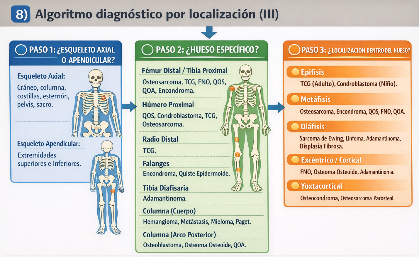 Algoritmo diagnóstico por localización (III): extremidad inferior
