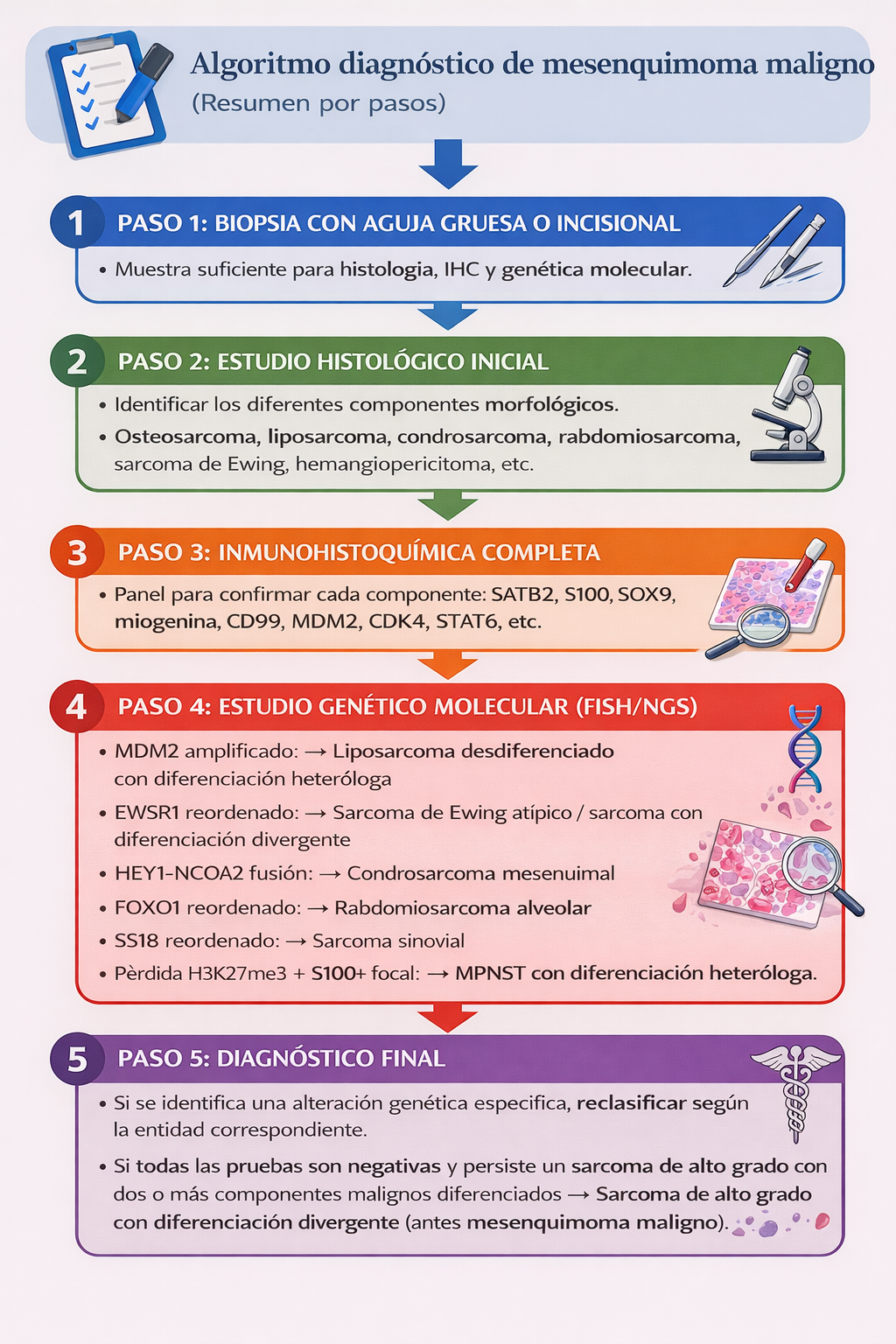 Algoritmo diagnóstico del sarcoma con diferenciación heteróloga (mesenquimoma maligno, término histórico)