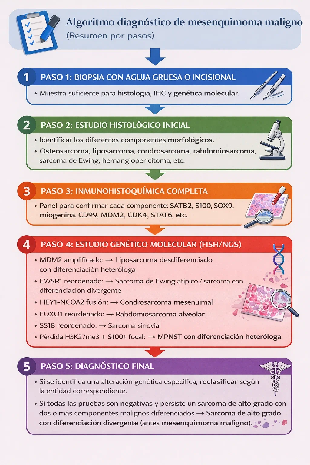 Algoritmo diagnóstico del sarcoma con diferenciación heteróloga