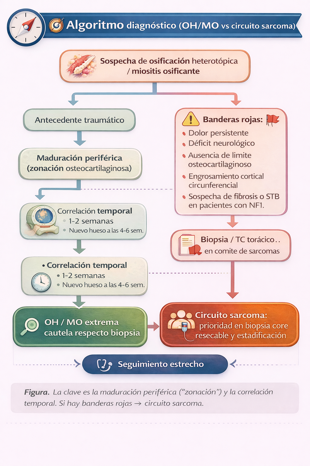 Algoritmo diagnóstico de osificación heterotópica / miositis osificante