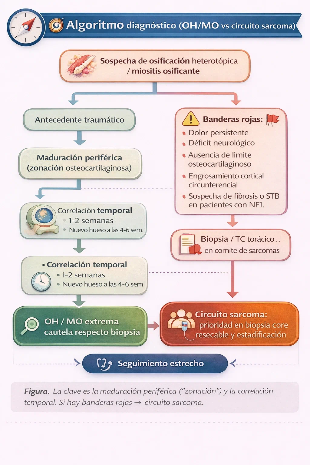 Algoritmo diagnóstico de osificación heterotópica / miositis osificante