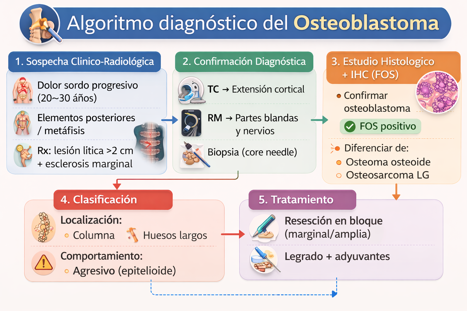 Algoritmo diagnóstico del osteoblastoma