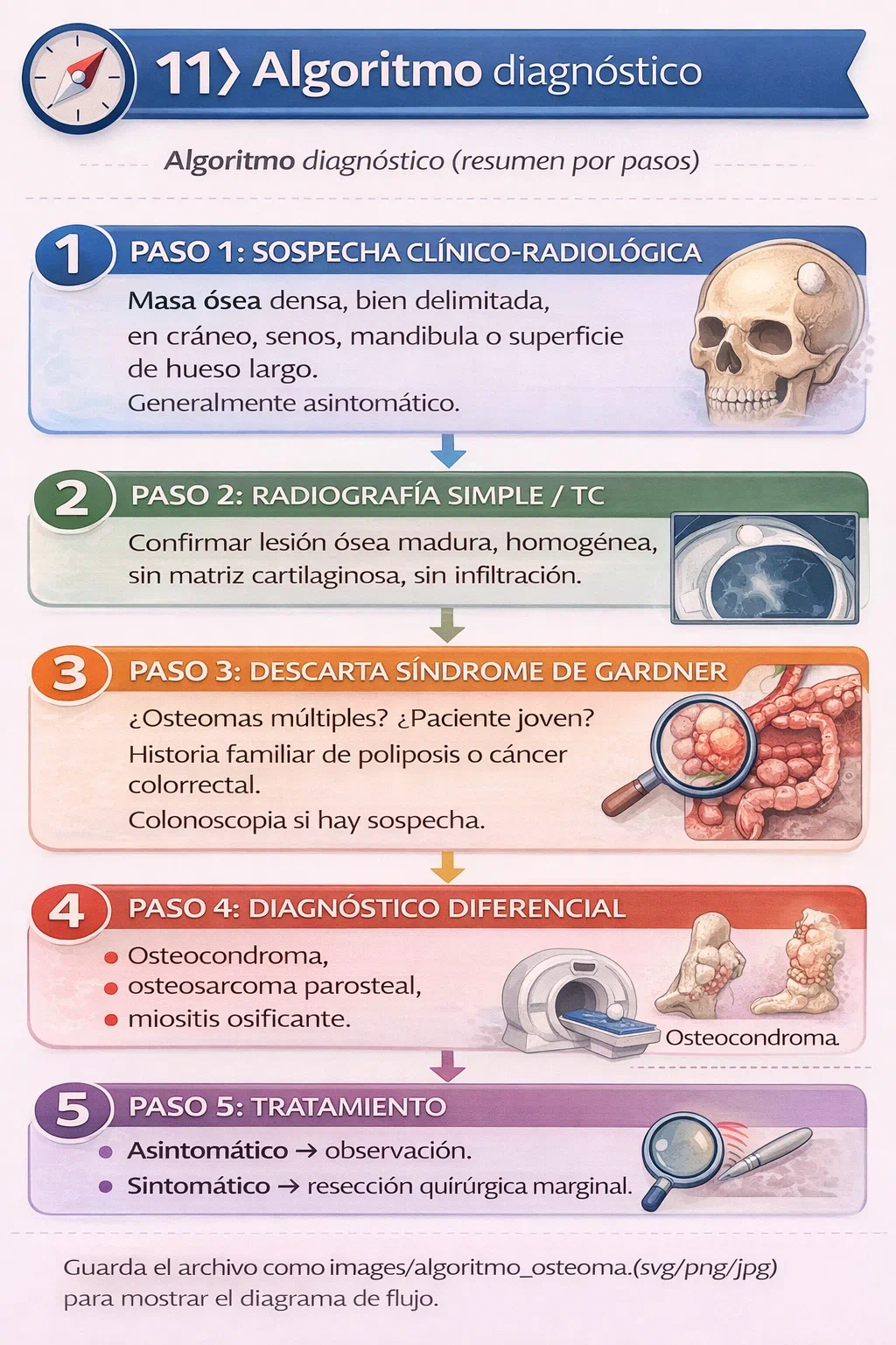 Algoritmo diagnóstico del osteoma