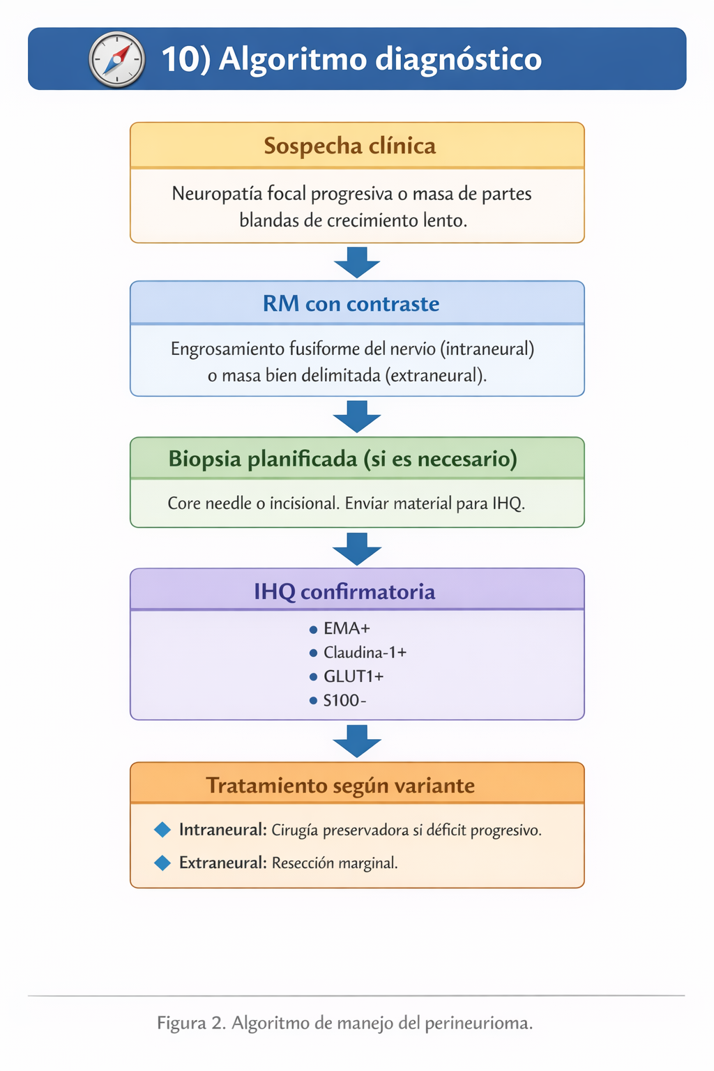 Algoritmo diagnóstico del perineurioma