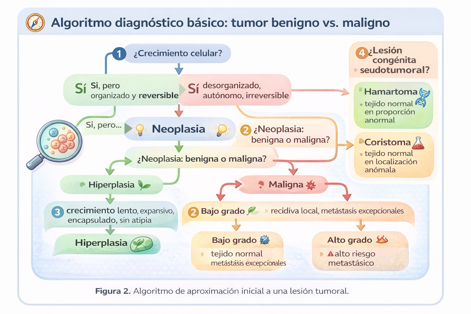 Algoritmo diagnóstico básico: tumor benigno vs. maligno