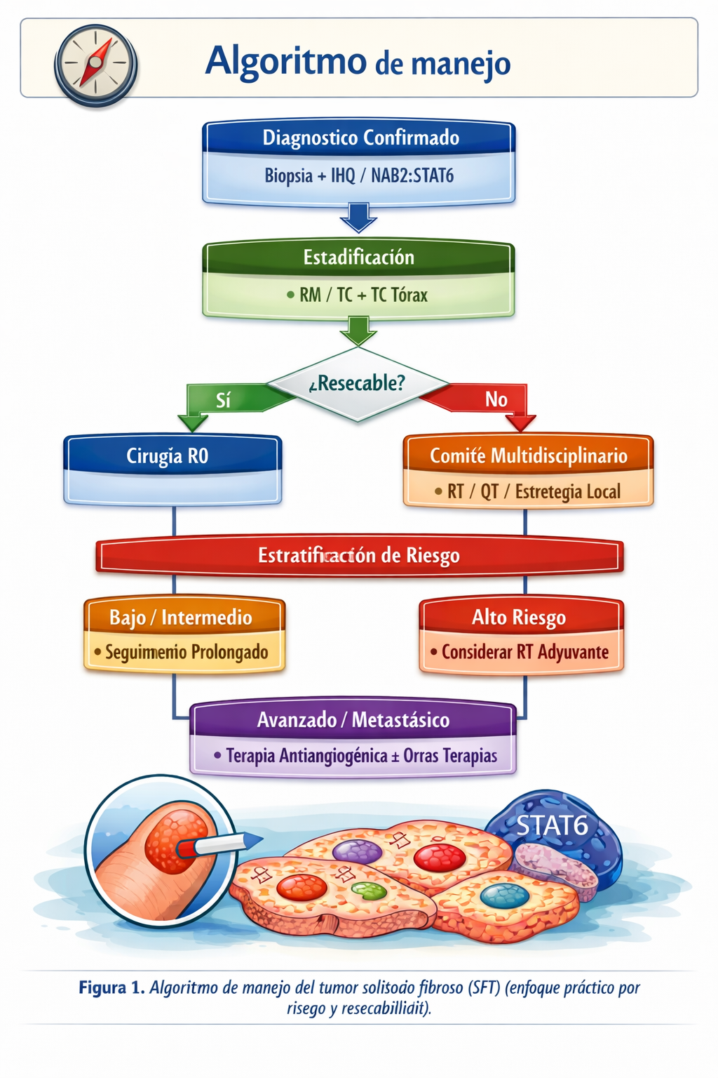 Algoritmo diagnóstico-terapéutico del tumor solitario fibroso (NAB2::STAT6)