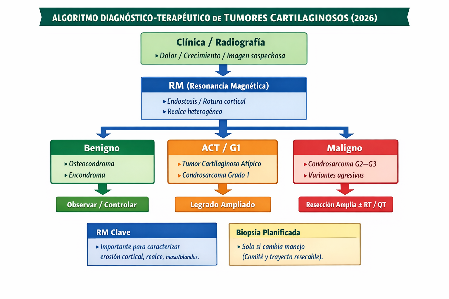 Algoritmo diagnóstico-terapéutico de tumores cartilaginosos (2026)