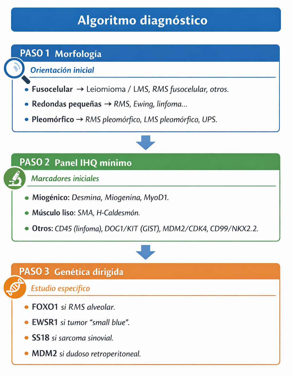 Algoritmo diagnóstico de tumores musculares