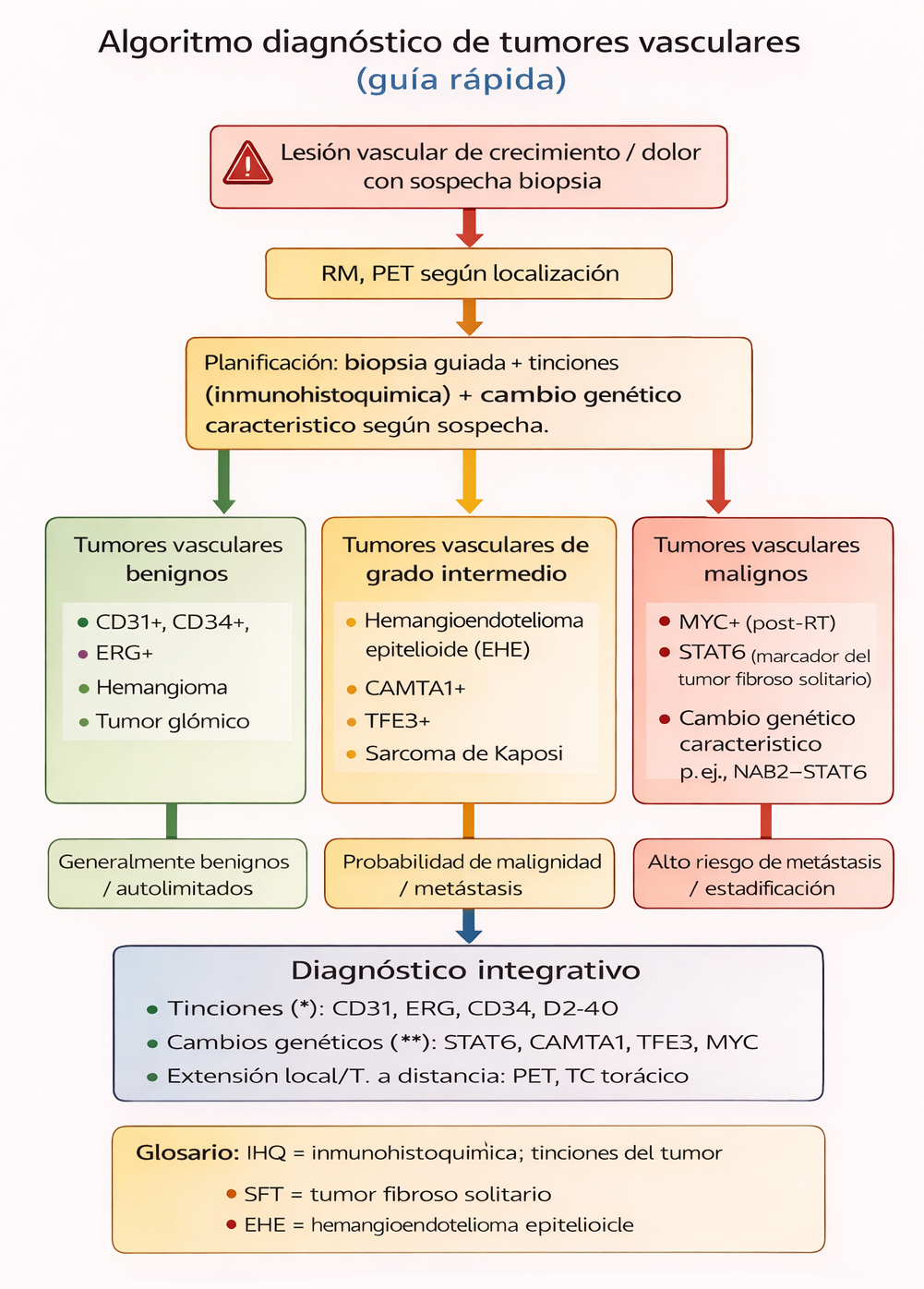 Algoritmo diagnóstico de tumores vasculares (OMS 2020–2026)