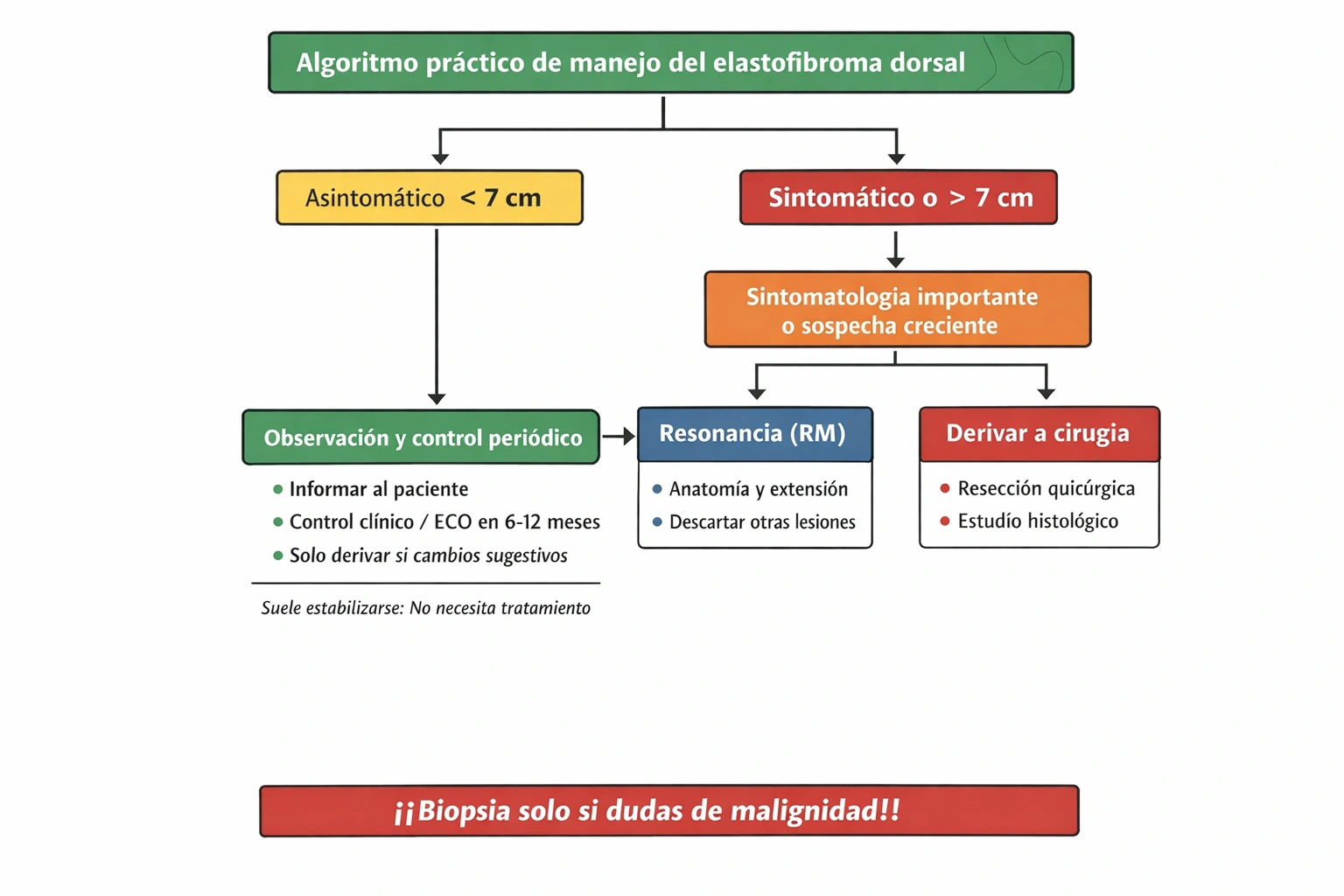Algoritmo de manejo del elastofibroma dorsi