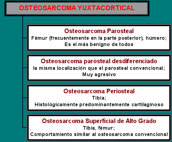  Diagnóstico diferencial de los osteosarcomas yuxtacorticales